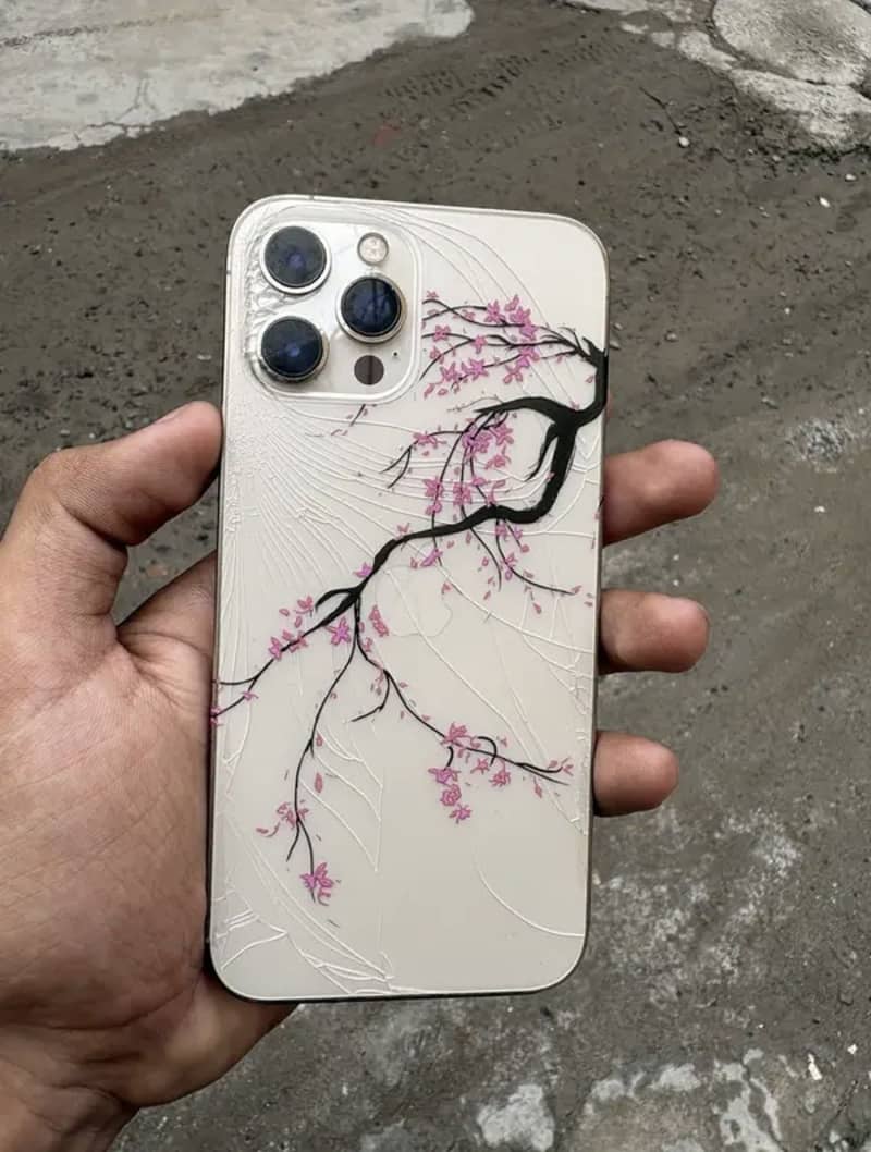Apple iPhone 12 Pro Max 2