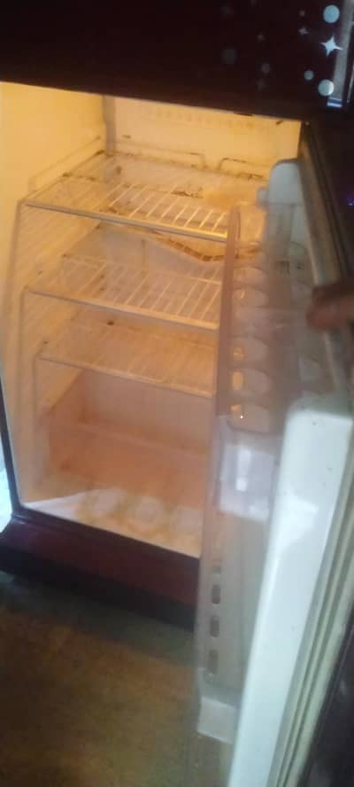 PEL fridge Glass door medium size