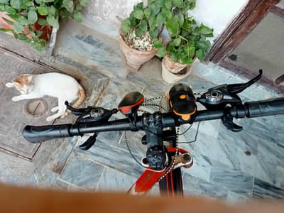 bicycle