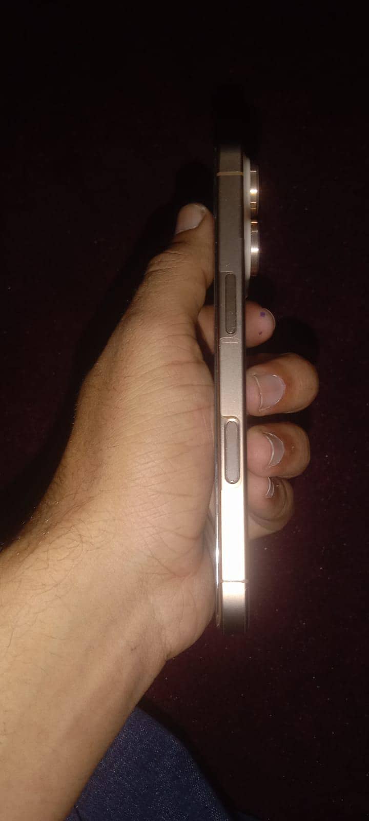 Apple iPhone 16 Pro 12