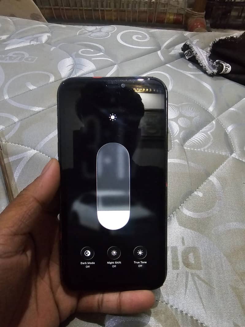 Apple iPhone 11 2