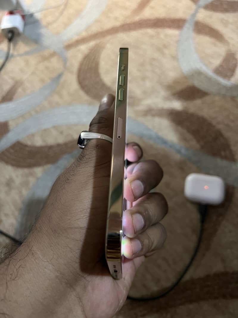 Apple iPhone 12 Pro Max 1