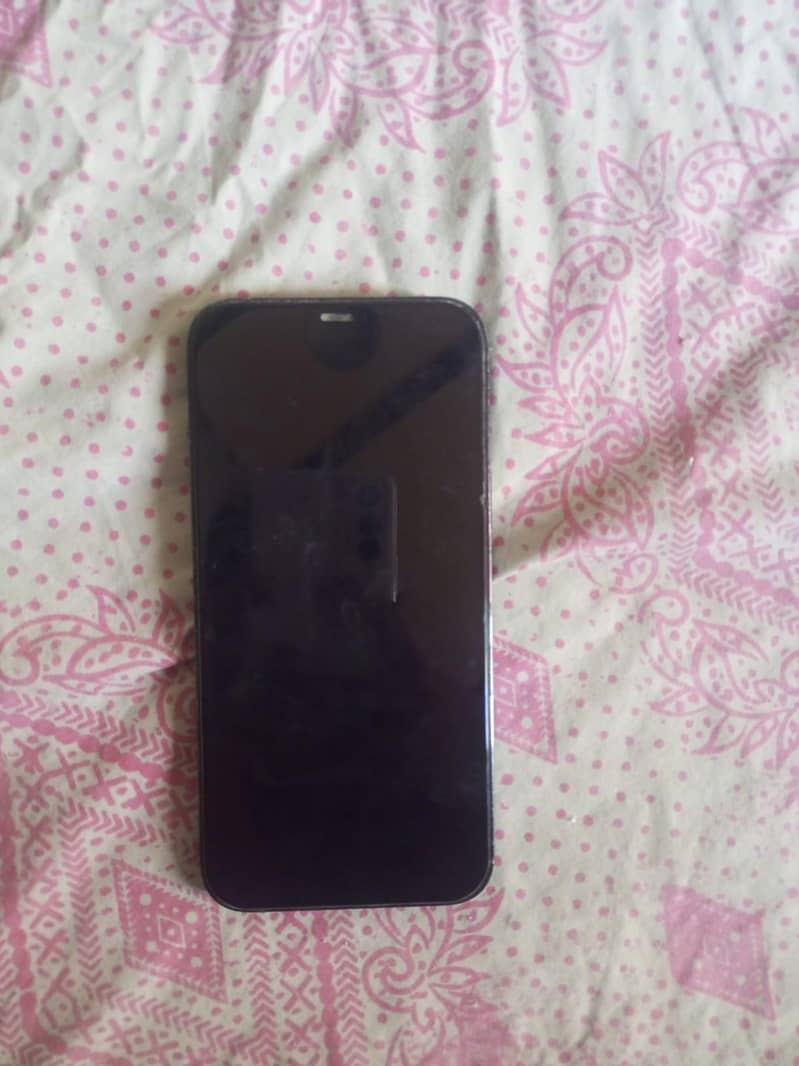 Apple iPhone 12 Pro Max 1
