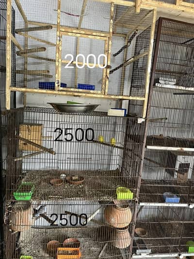 cage Available what ap details