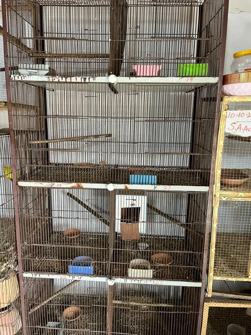 cage Available what ap details — photo 4