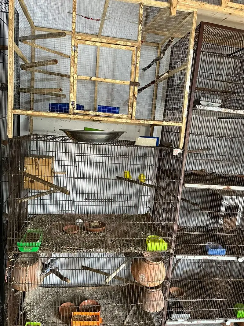 cage Available what ap details — photo 5