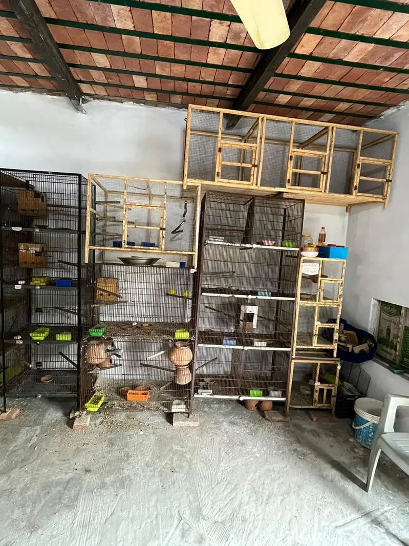 cage Available what ap details — photo 6