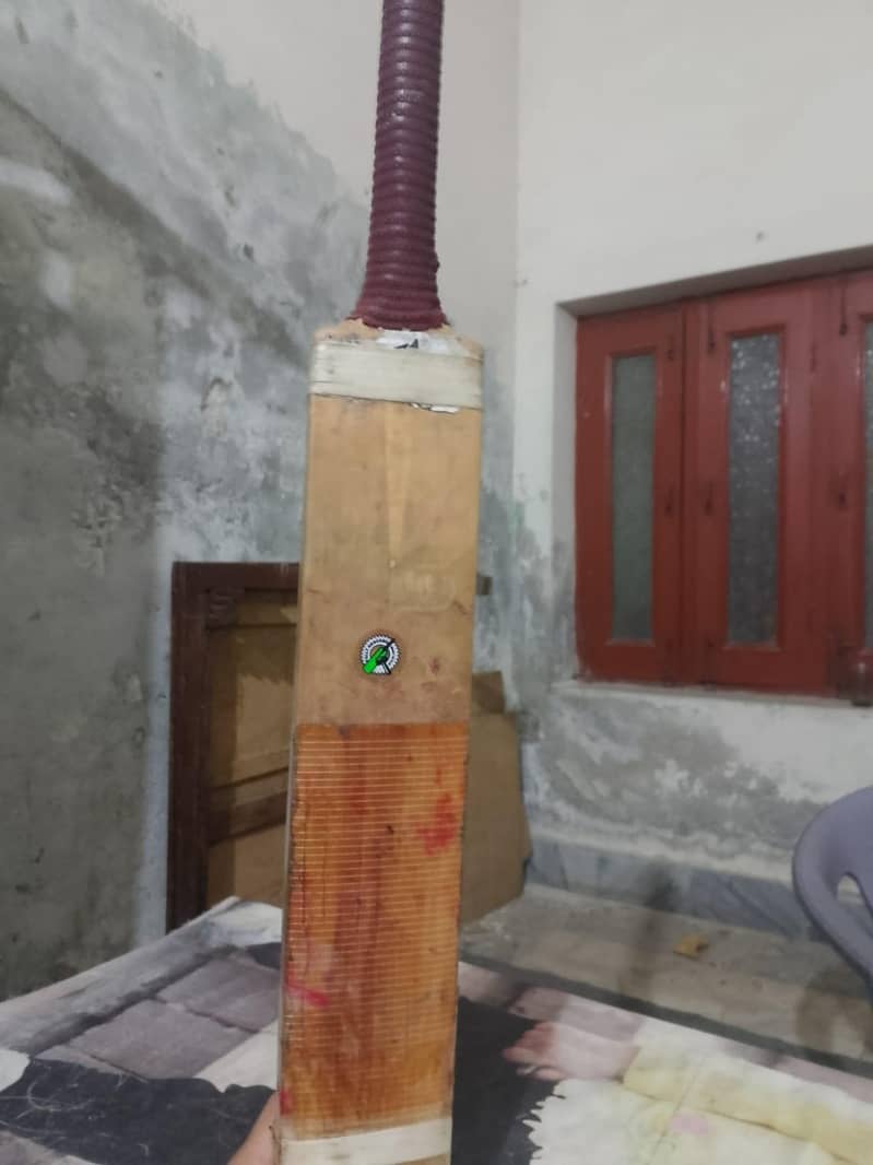 Gray nicolls Bat 2