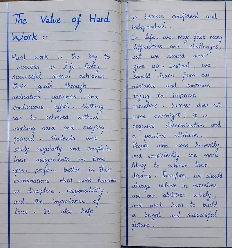 Handwriting Assignment , Notes and Ms Word Writing 0