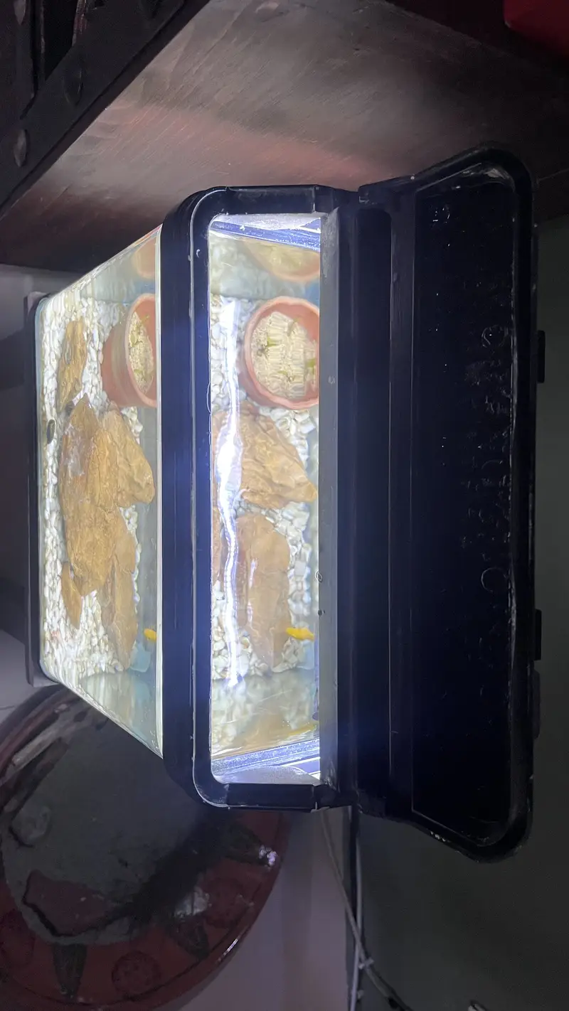 Fish Aquarium — photo 2