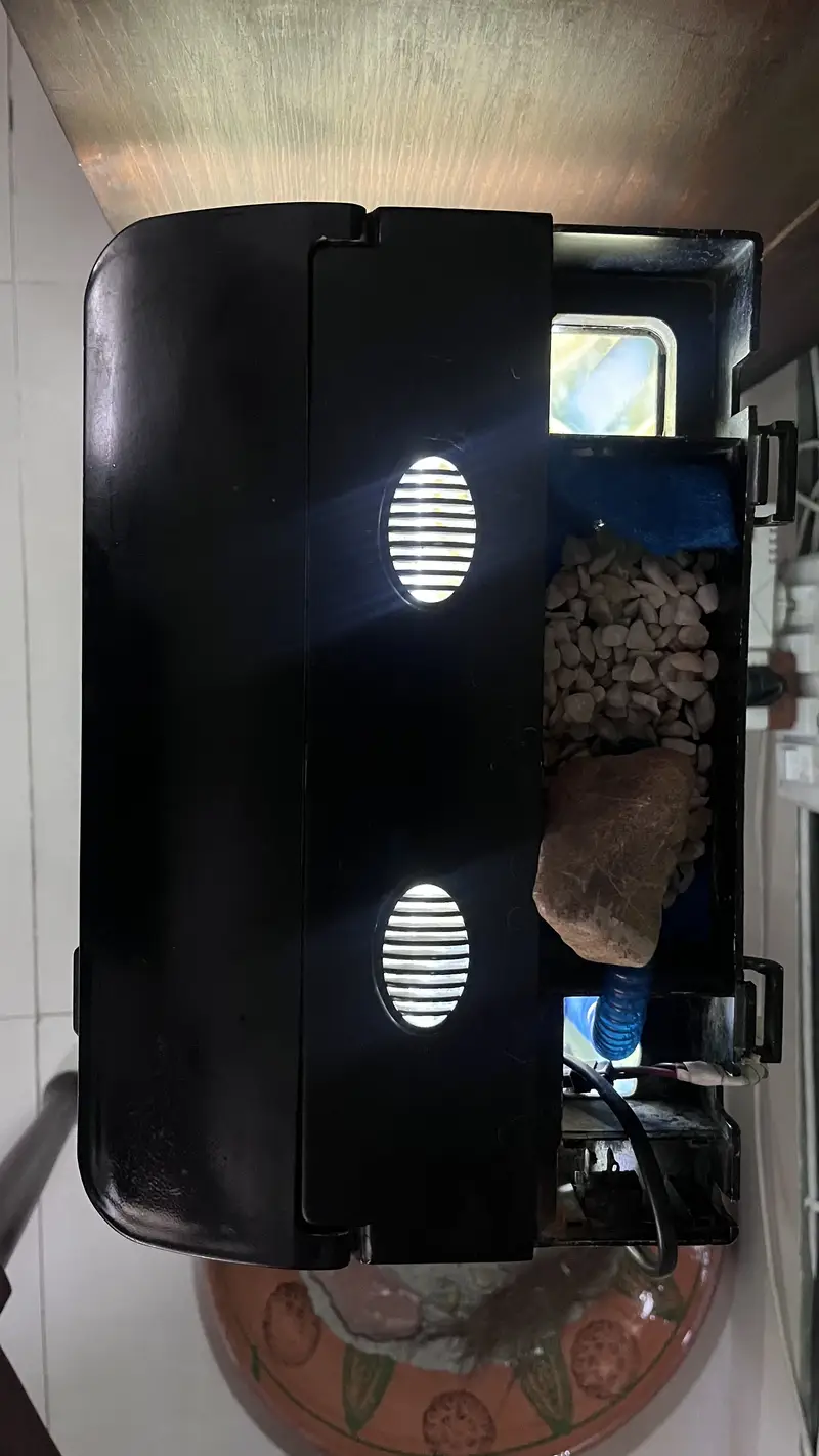 Fish Aquarium — photo 3