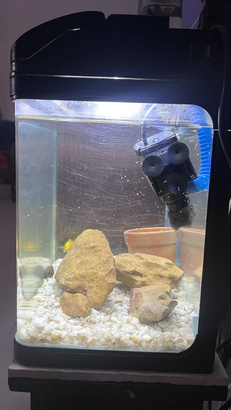 Fish Aquarium 3