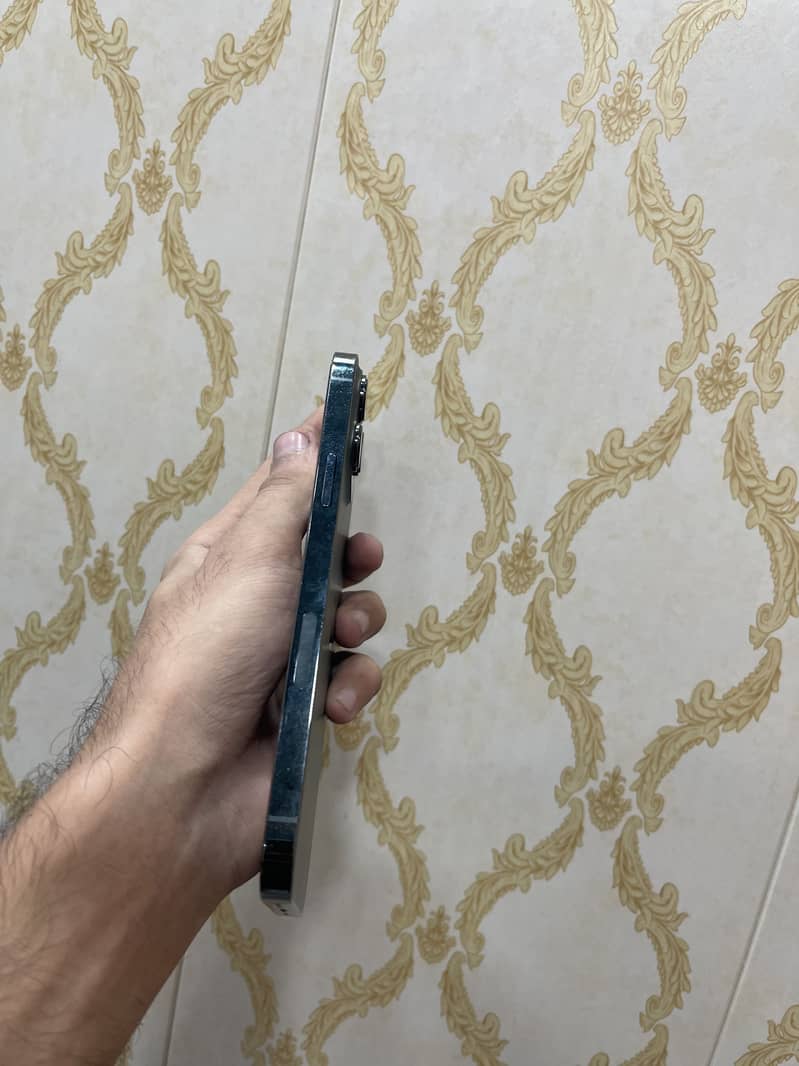 Apple iPhone 13 Pro Max 0