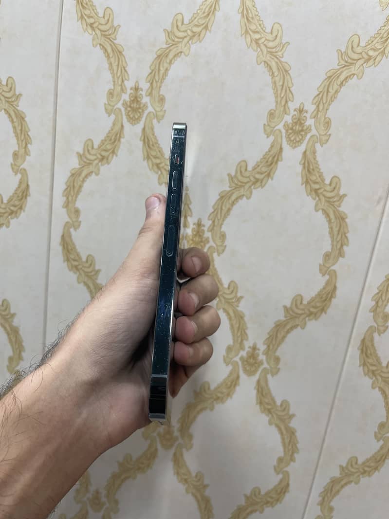 Apple iPhone 13 Pro Max 1
