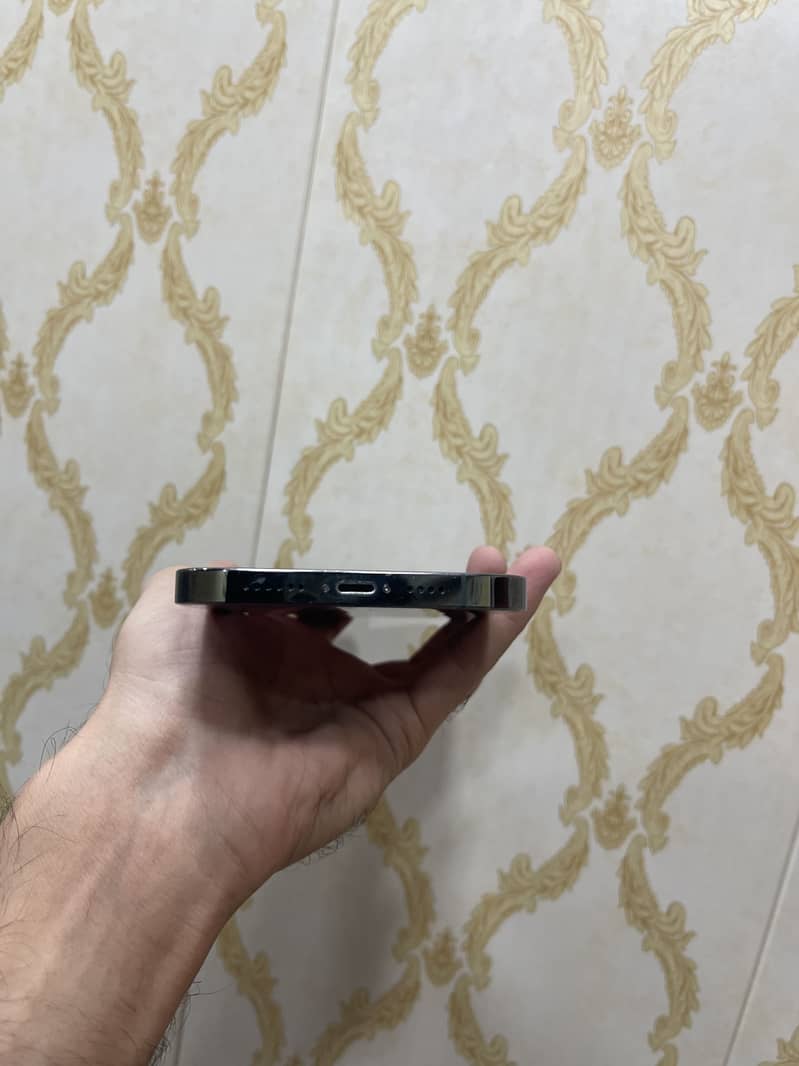 Apple iPhone 13 Pro Max 2