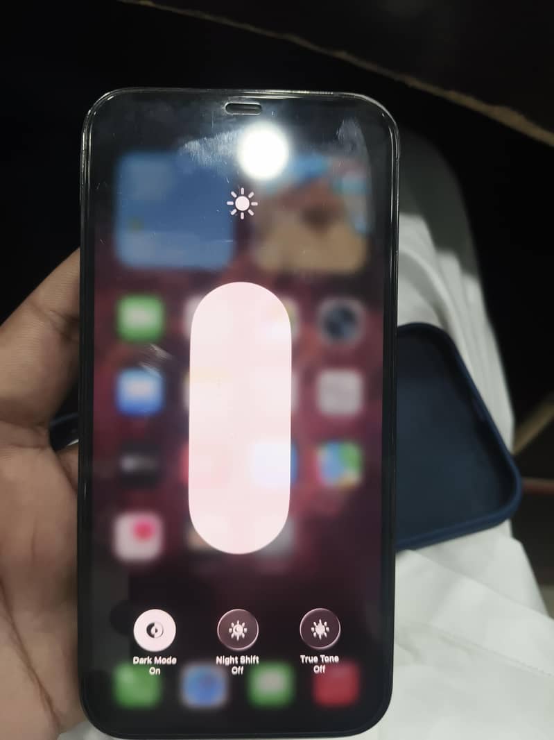 Apple iPhone 12 Pro Max 1