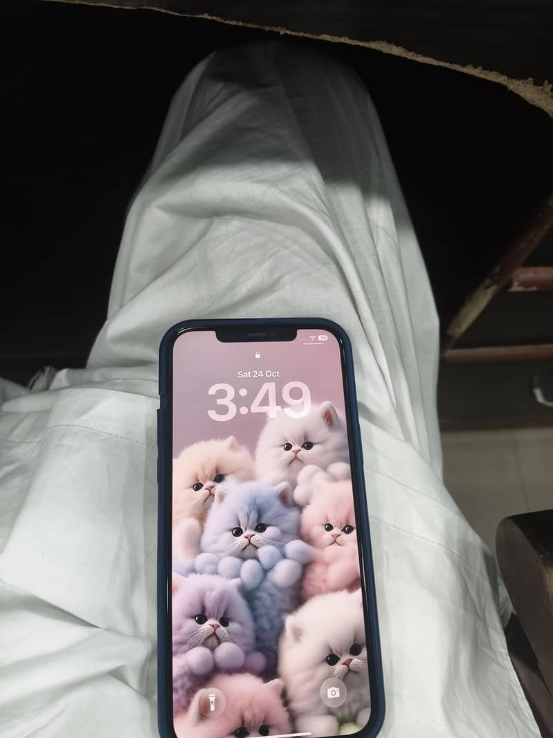 Apple iPhone 12 Pro Max 9