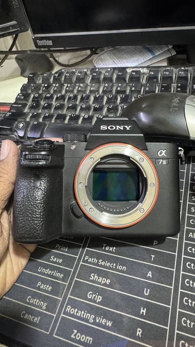 Sony A7iii