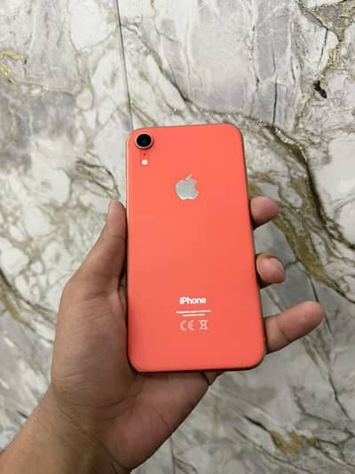 iPhone XR Pta approved