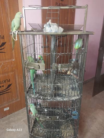 Cage sale in karachi