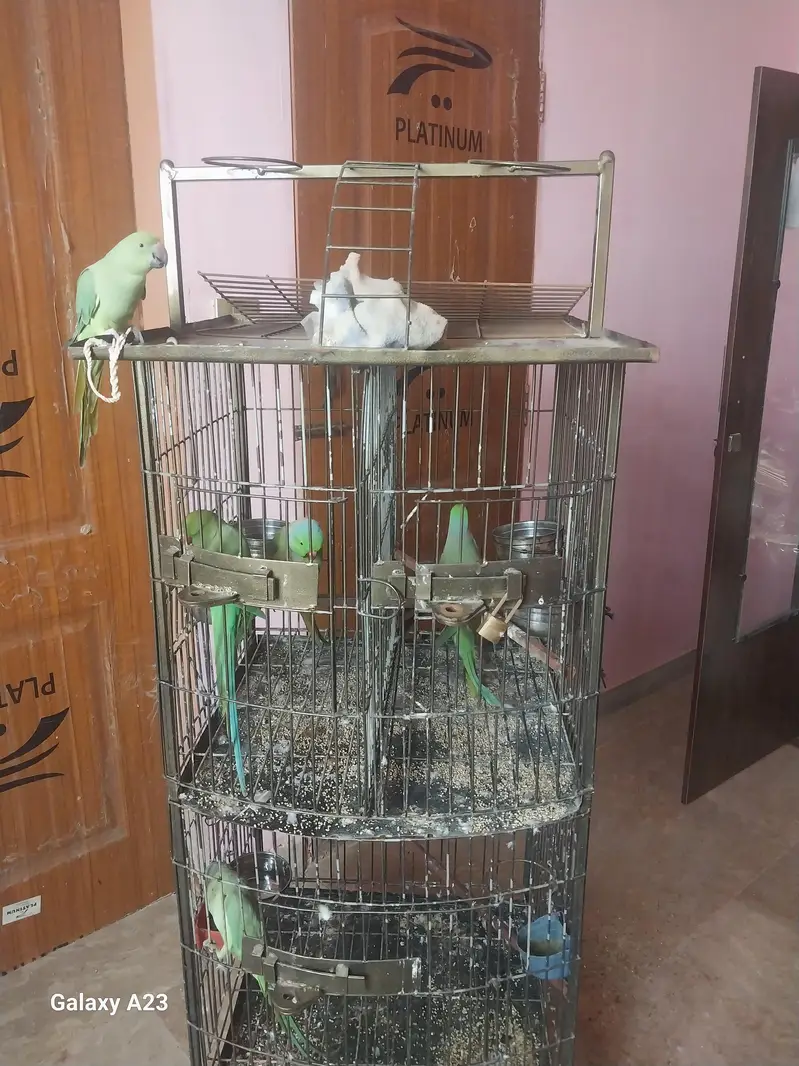 Cage sale in karachi — photo 2