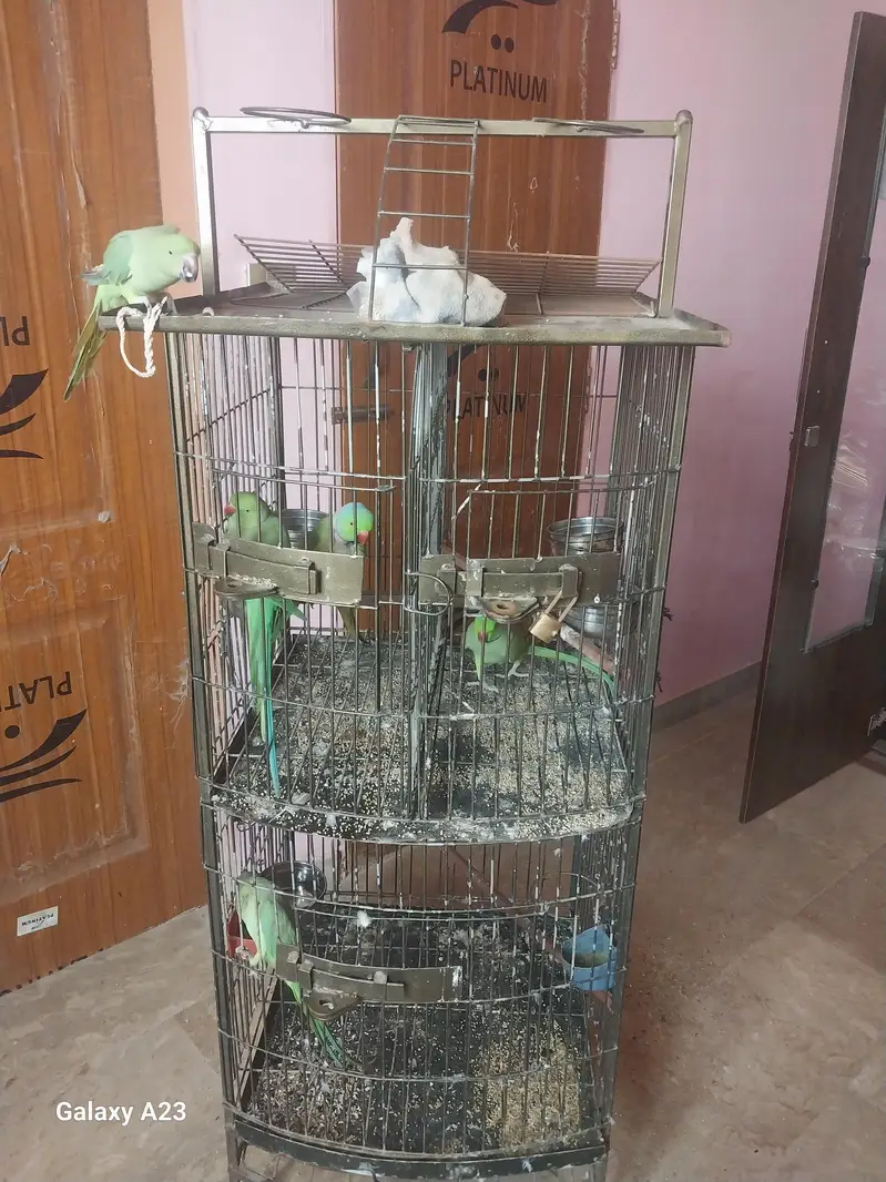 Cage sale in karachi — photo 3