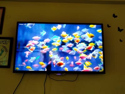 Samsung Led
