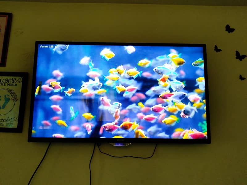Samsung Led 1