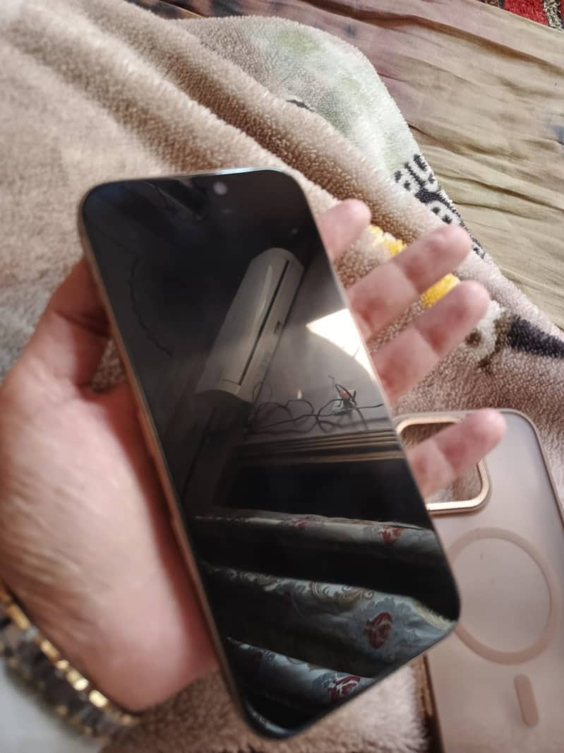 Apple iPhone 16 Pro Max 1