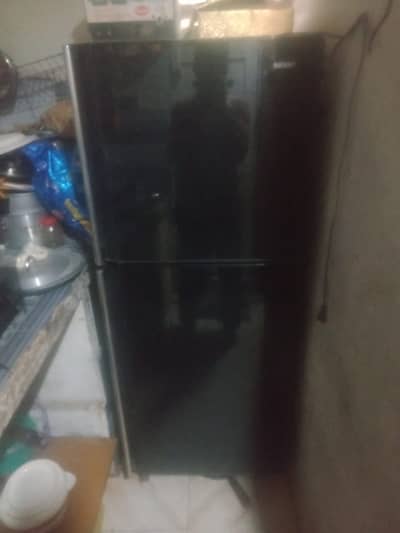 Orient Fridge