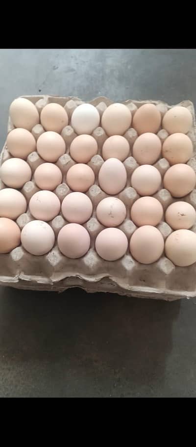 pure Desi egg Ghar ki murgiyo k dastayaab hai