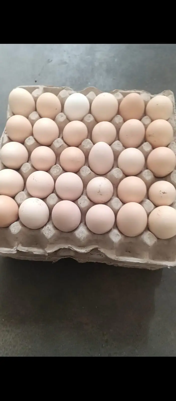 pure Desi egg Ghar ki murgiyo k dastayaab hai