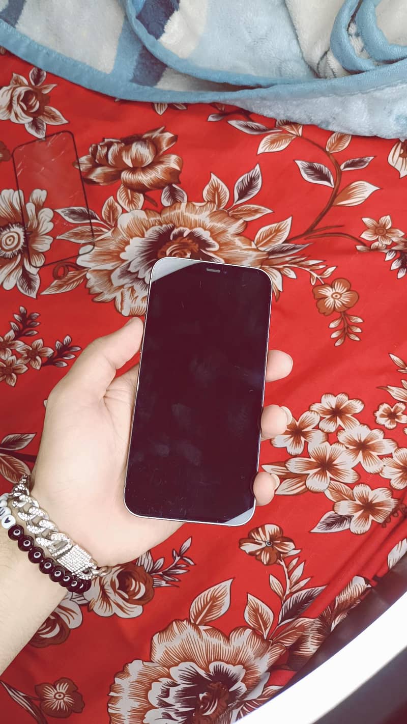 Apple iPhone 12 Pro 4