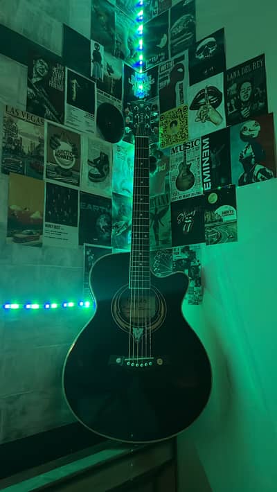 ANTELOPE (tuner) GUITAR