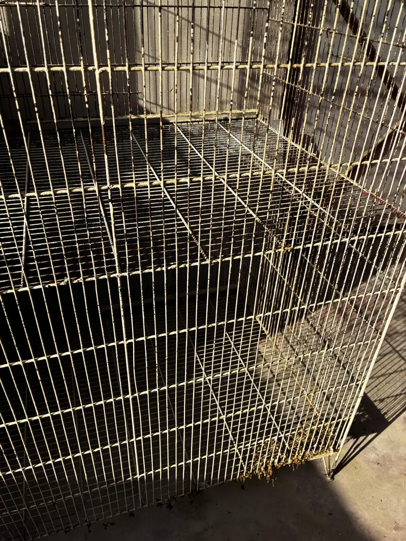 Birds cages — photo 2