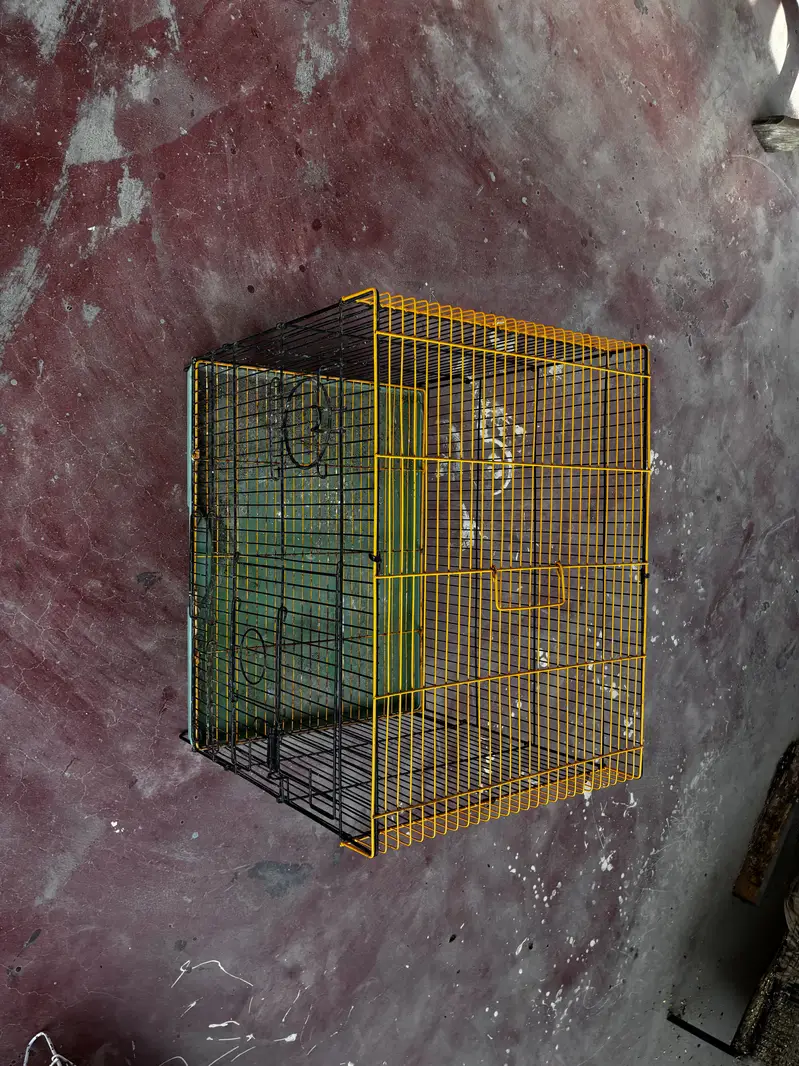 Birds cages — photo 11