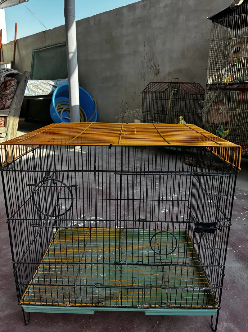 Birds cages — photo 12