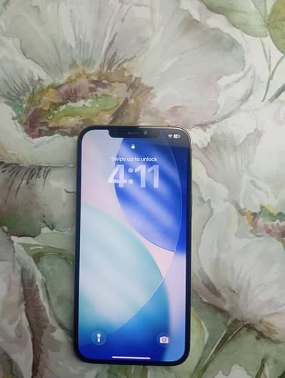 Apple iPhone 12 Pro Max