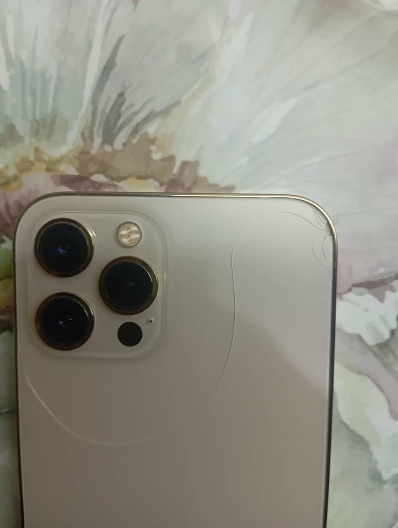 Apple iPhone 12 Pro Max 1