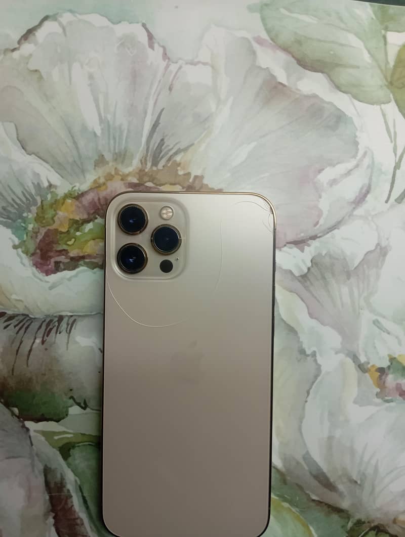 Apple iPhone 12 Pro Max 2