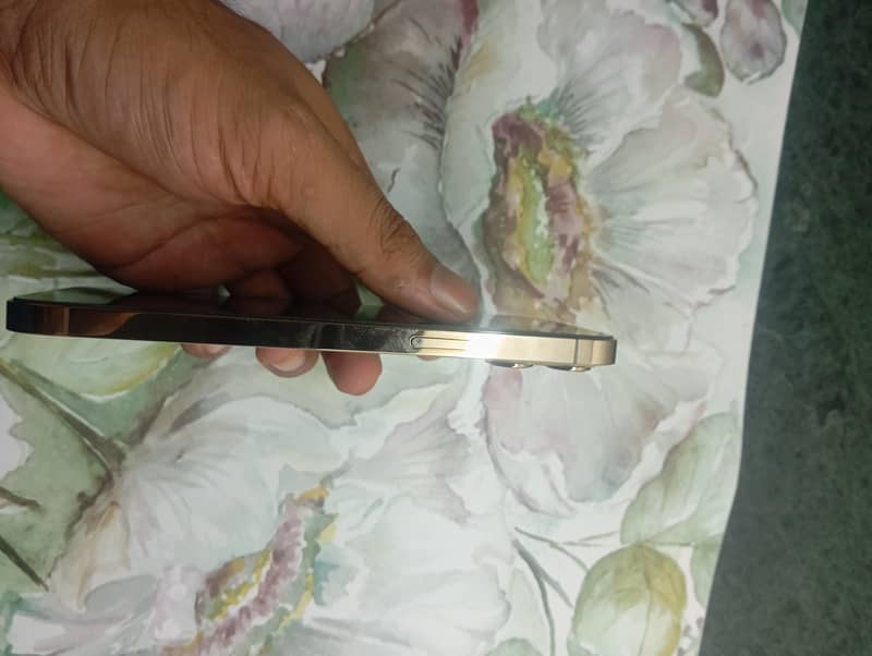Apple iPhone 12 Pro Max 3