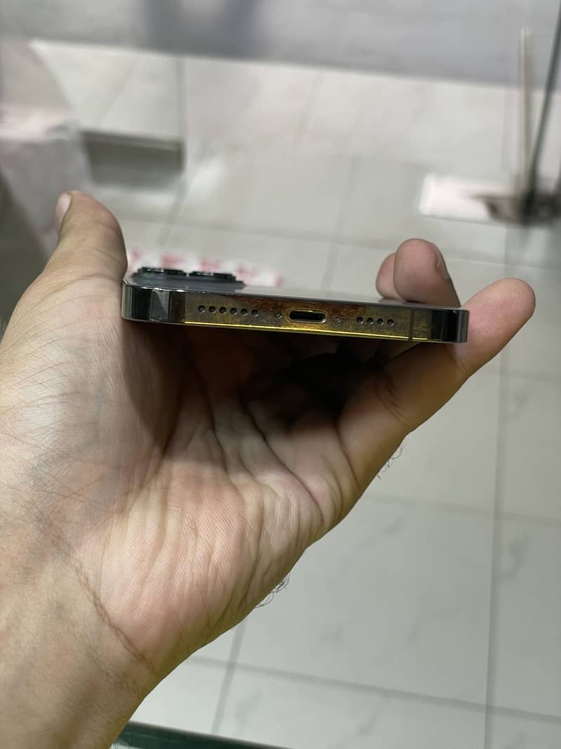 Apple iPhone 13 Pro Max 2