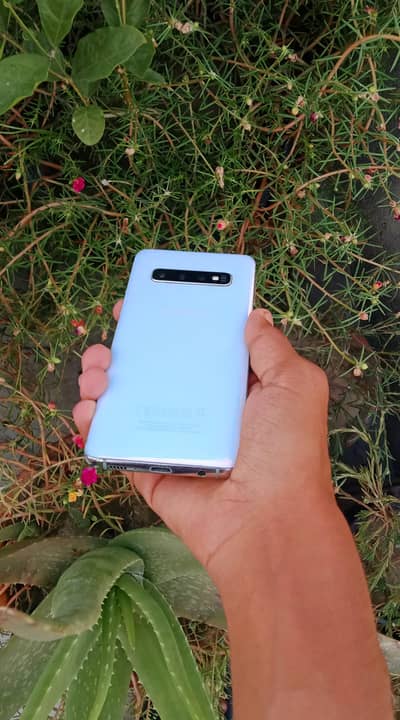 Samsung Mobile S10.8/512 GB . Dual working SIM
