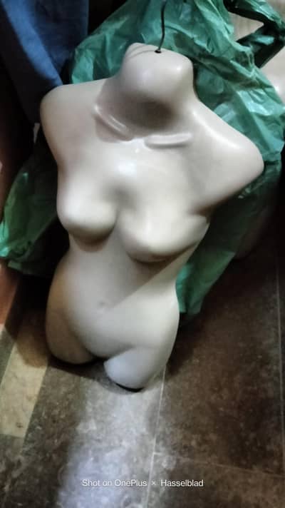 half mannequins 16 pisces