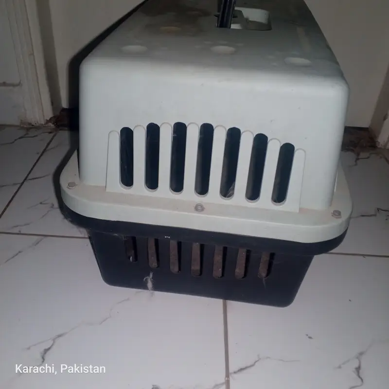 Pets traveling box — photo 5