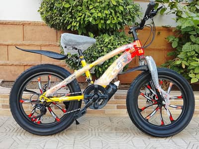 CCG BRAND NEW Cycle - 20 size - 0320/2257/271