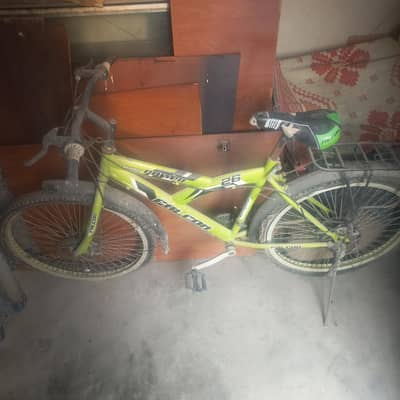 Falcon cycle