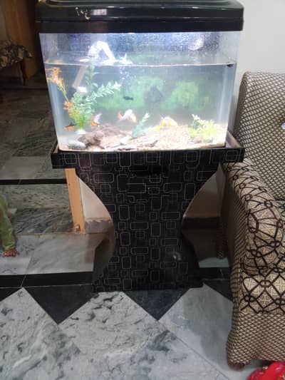 fish Aquarium for Sale