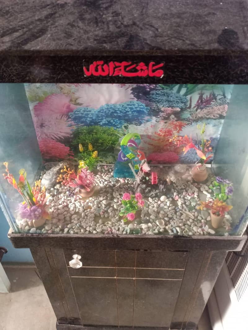 aquarium 0