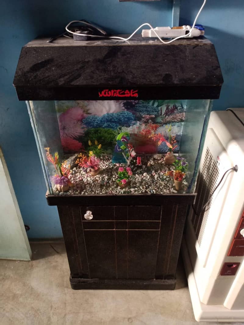 aquarium 1